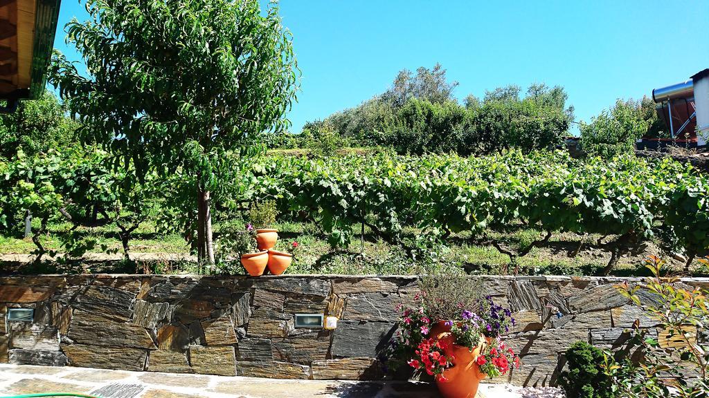 Douro Valley - Casa Vale Do Douro Lamego Exterior foto
